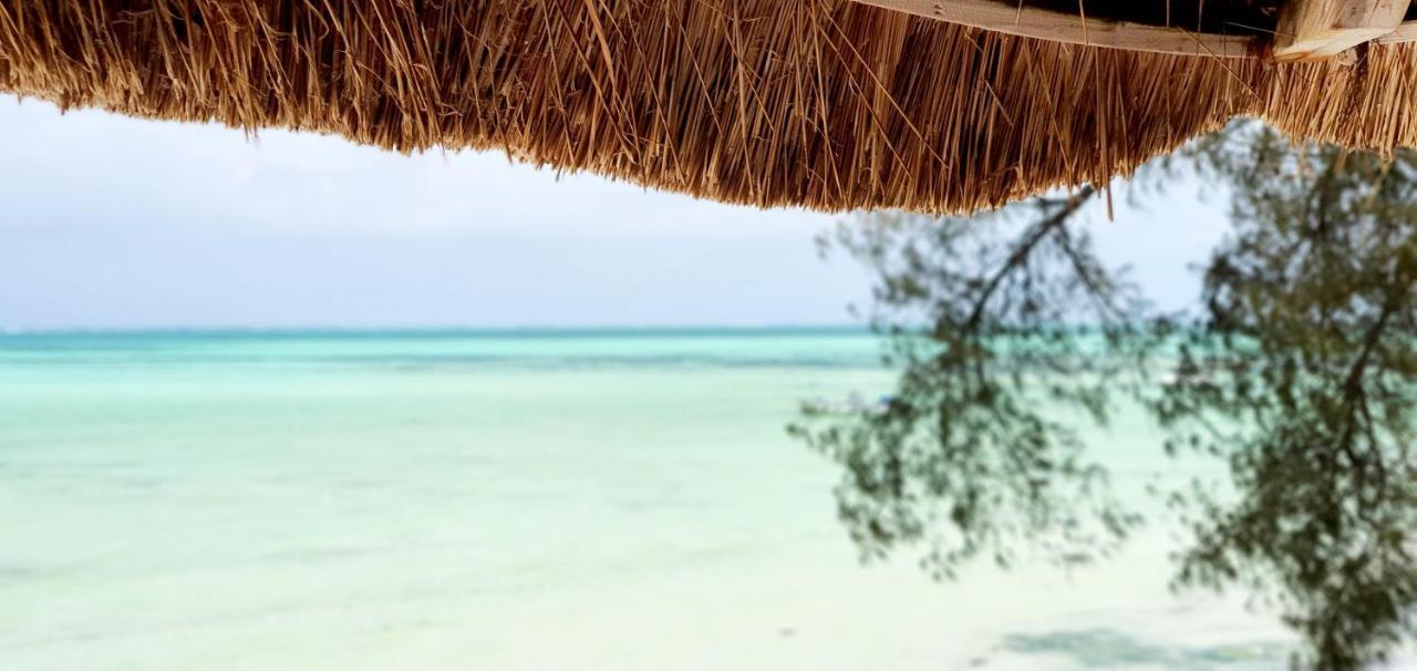 Arya Boutique Resort Kiwengwa  Exterior foto